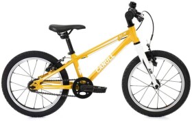 Canull Air 2025