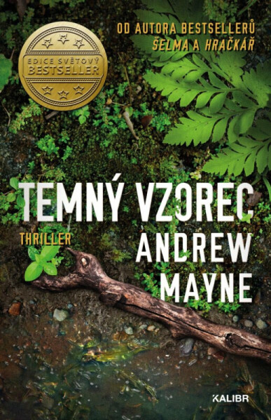 Temný vzorec (poškozená) - Andrew Mayne