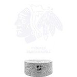Cedule Miami Heat NBA Team Logo LED-Leuchtschild