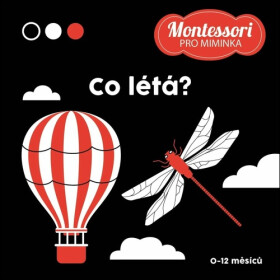 Co létá? - Kontrastní leporelo - Adéla Korbelářová