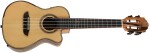 Ortega BYWSM-U
