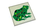 Moyo Montessori Moyo Montessori Puzzle - žába