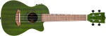 Flight DUC 380 CEQ Jade