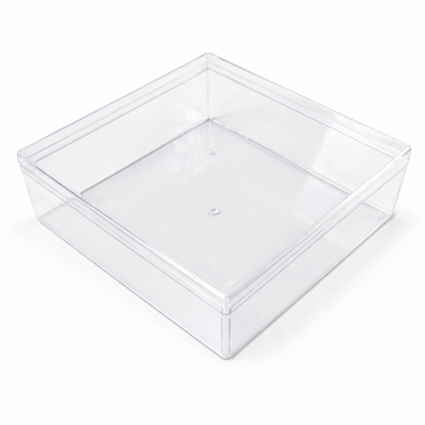 Cake Star plastový box s víčkem 18,5x18,5x6cm