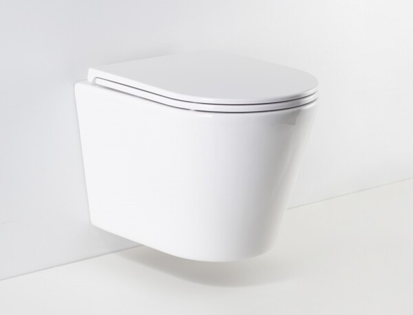 HOPA - Závěsné WC OVALE BASSO RIMLESS se SLIM sedátkem Soft-close OLKLT053ER