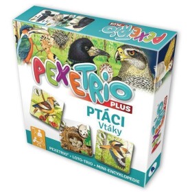 Pexetrio Ptáci
