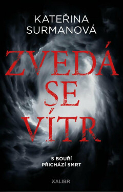 Zvedá se vítr (poškozená) - Kateřina Surmanová