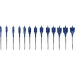 Bosch Accessories 2608900336 sada frézovacích vrtáků do dřeva 10 mm, 12 mm, 13 mm, 14 mm, 16 mm, 18 mm, 20 mm, 22 mm, 24