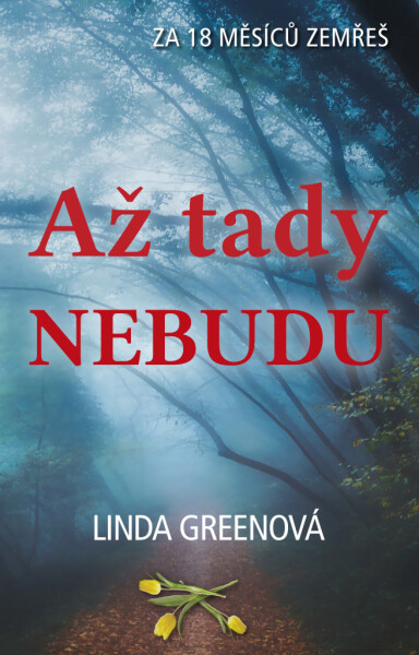 Až tady nebudu