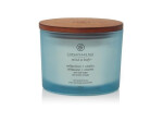 Vonná svíčka CHESAPEAKE BAY CANDLE Reflection & Clatiry 312g / 3 knoty