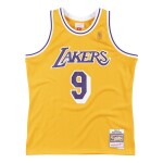 Mitchell & Ness Pánský dres Los Angeles Lakers NBA Nick Van Exel #9 1996-97 Swingman Velikost: M