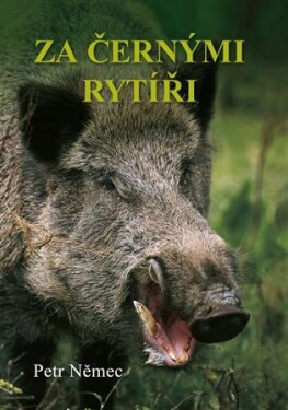 Za černými rytíři Petr Němec