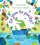 Co jsou to pocity? - Katie Daynes