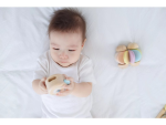 PlanToys PlanToys Váleček "PlanLifestyle"