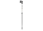 Leki Detect S Vario sjezdové hole Warm Grey Light/Warm Grey Dark/Black 110-140 cm