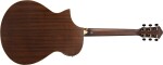 Ibanez AEWC12 Rose Gold Metallic