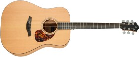 Furch Blue D-CM L.R. Baggs EAS-VTC CNR Active