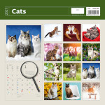 Nástěnný kalendář 2027 Helma Cats