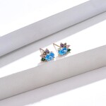 Náušnice Swarovski Elements Marisol, Barevná/více barev