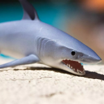 Safari Ltd. Safari Ltd. Figurka - Žralok mako