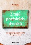 Z tajů pražských dvorků - Petr Sojka - e-kniha