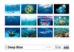 Nástěnný kalendář 2026 Helma - Deep Blue, 45 x 31,5 cm