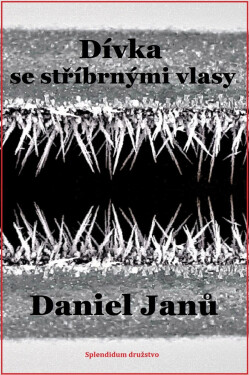 Dívka se stříbrnými vlasy - Daniel Janů