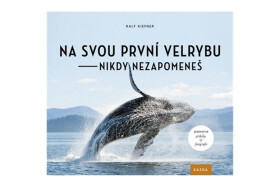 Na svou první velrybu nikdy nezapomeneš