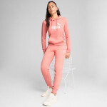 Puma ESS No.1 Logo Hoodie W 682391 18 m