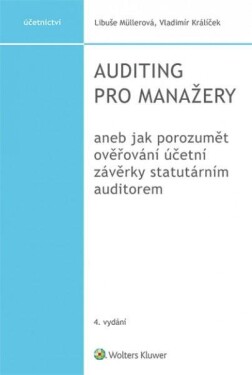 Auditing pro manažery