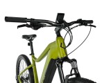 Leader Fox Awalon 19,5" 29" army 2025