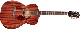 Guild M-120 NAT