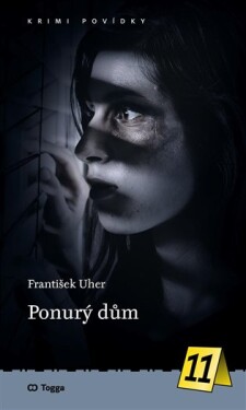 Ponurý dům