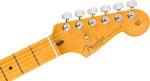 Fender American Professional Stratocaster MN DK NIT