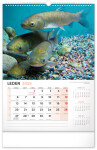 NOTIQUE Nástěnný kalendář Rybářský 2025, 33 x 46 cm