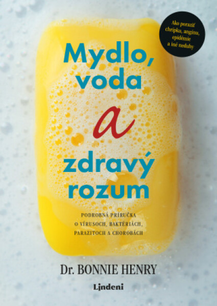 Mydlo, voda a zdravý rozum - Henry Bonnie - e-kniha