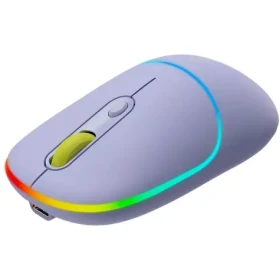 CANYON CNS-CMSW22ML fialová / optická bezdrátová myš / 800/1200/1600 dpi / 4 tlačítka / USB 2.0 / 2.4GHz / 650mAh (CNS-CMSW22ML)