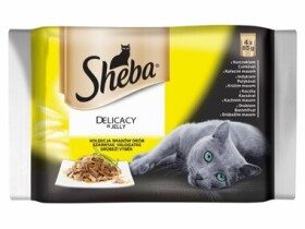 Sheba DELICACY in Jely Drůbeží výběr 4pack 340g / Kapsičky pro kočky (4770608247683)