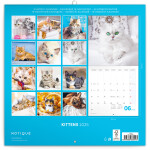 Poznámkový kalendář Koťata 2025, 30 30 cm