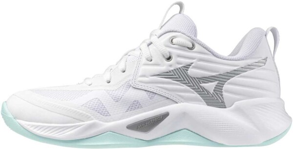 Mizuno Wave Momentum Pro V1GC254045