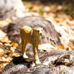 Safari Ltd. Safari Ltd. Gepard