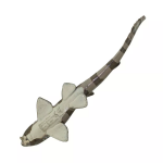 Safari Ltd. Safari Ltd. Figurka - Žralůček