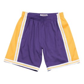 Mitchell & Ness Pánské kraťasy Los Angeles Lakers NBA 1984-85 Swingman Shorts Velikost: 2XL