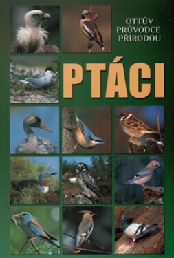 Ptáci