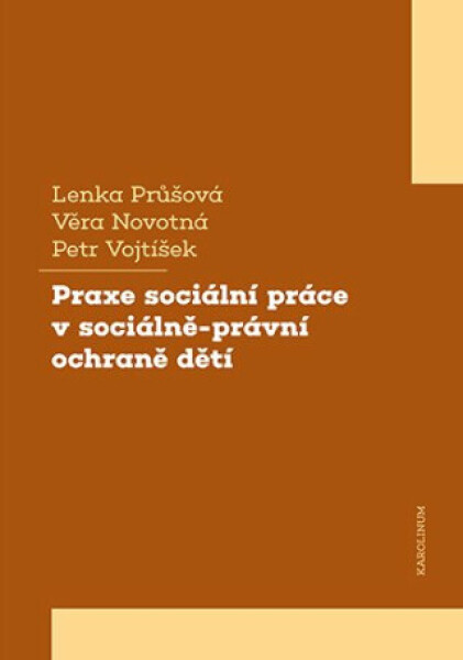 Praxe sociální práce v sociálně-právní ochraně dětí - Věra Novotná, Lenka Průšová, Petr Vojtíšek