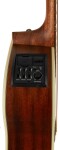 Takamine GD20CE-NS