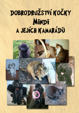 Dobrodružství kočky Mindi a jejích kamarádů - Miloslava Rýznarová - e-kniha