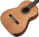 Ortega R20GWN