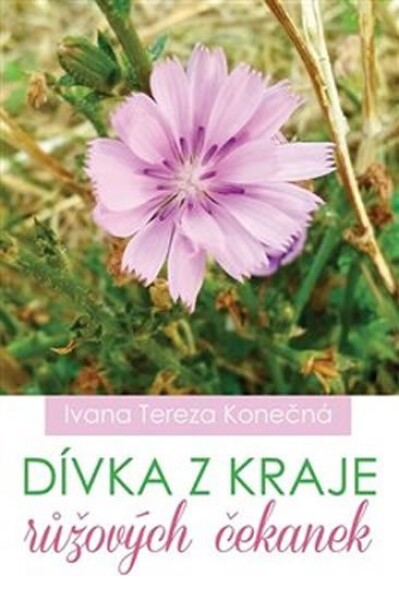 Dívka kraje růžových čekanek Ivana Tereza Konečná