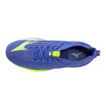 Běžecké boty Mizuno NEO VISTA 2 J1GC253451 Velikost obuvi v EU: 46,5